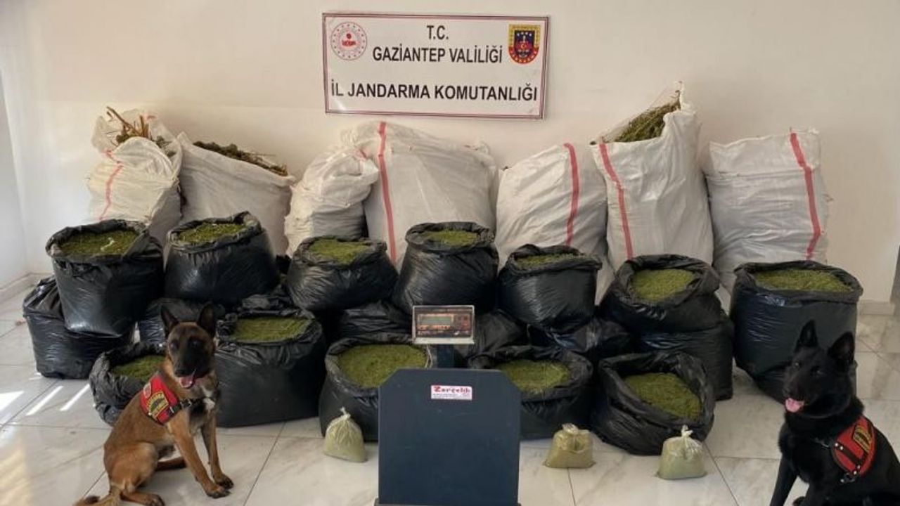 Gaziantep'te 462 kilo uyuşturucu madde ele geçirildi