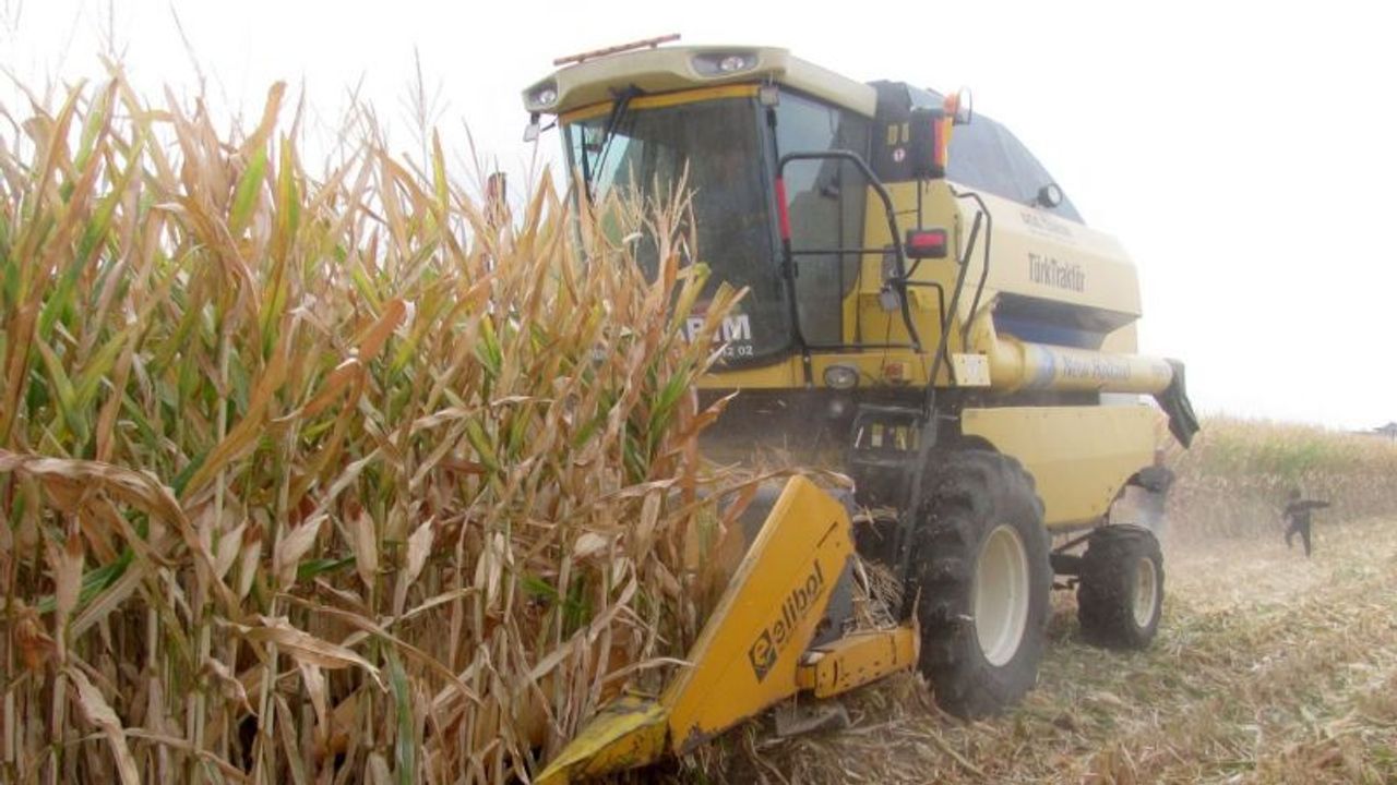 Araban Ovası’nda mısır hasadına başlandı
