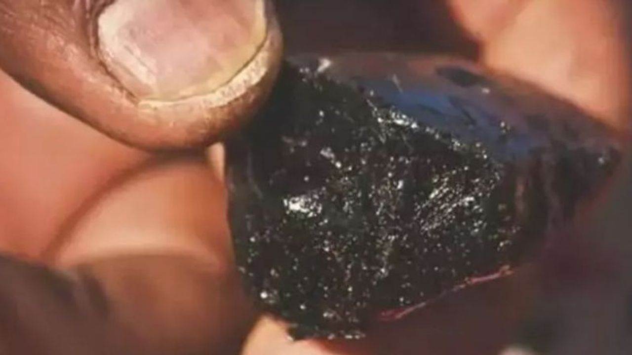 150 yaşına kadar yaşamanın sırrı onda gizli! Simsiyah kömür karası, Kömür desen değil, taş gibi ama bambaşka.. 