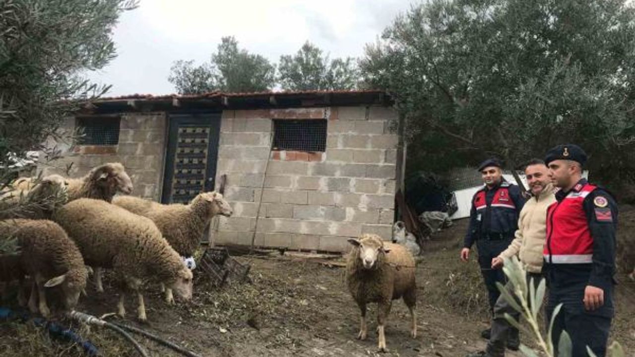 Çiftçinin İmdadına Jandarma Yetişti!