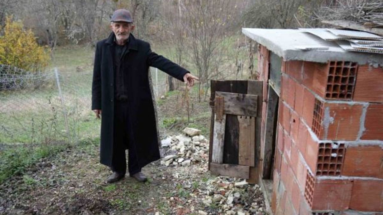 Köye İnen Ayı Kümeste Terör Estirdi!