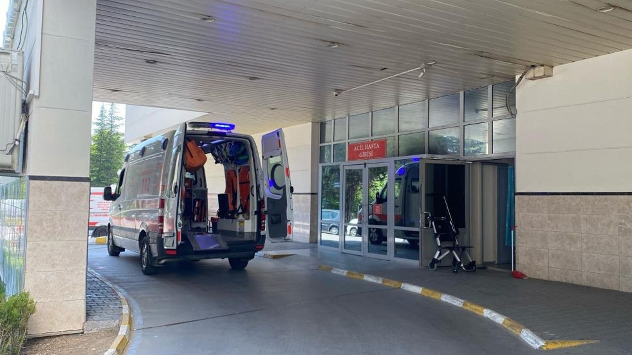 Türkiye'de “Deli Dana” Hastalığı Tespit Edildi