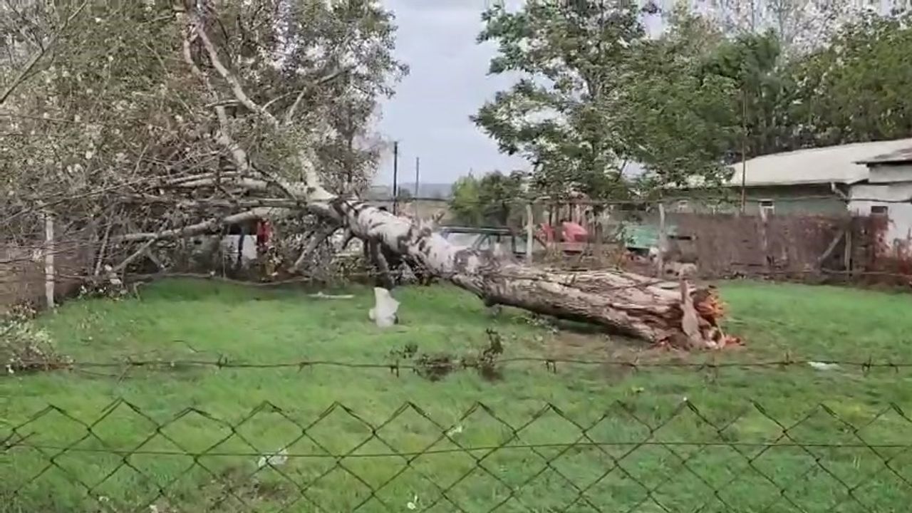 Şiddetli Rüzgar Hasara Yol Açtı