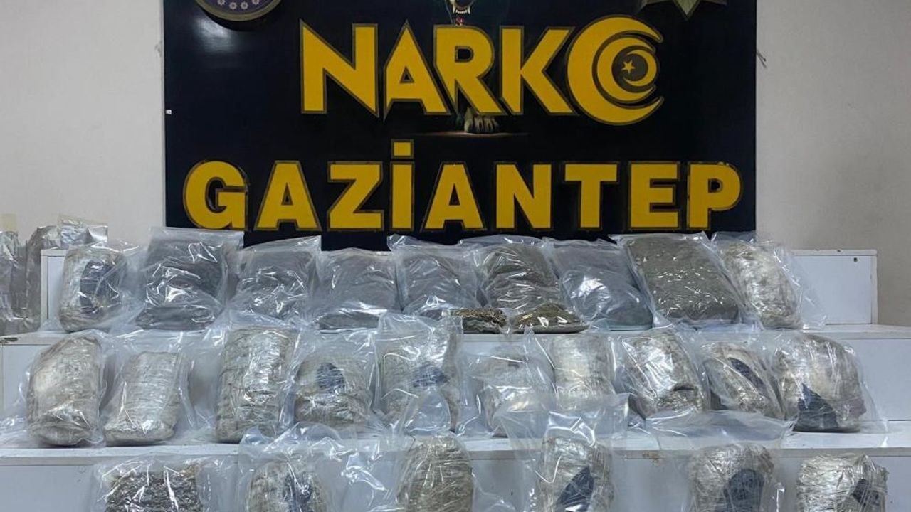Gaziantep’te Dev Skunk Operasyonu