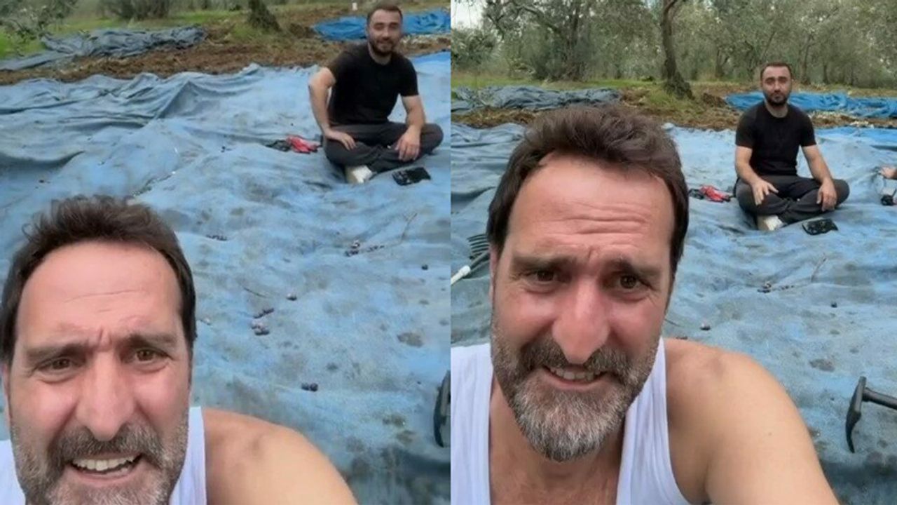 Köfte Necmi İlk Zeytin Hasadını Yaptı