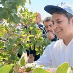 Gaziantep'te Fıstık Nöbeti: Ali Şahin'den Hırsız Uyarısı