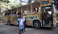 Gaziantep Hayvanat Bahçesi'ni 2022’de 5 milyon kişi ziyaret etti