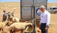 Meralarda Açılan Kuyularla Küçükbaş Hayvanların Su İhtiyacı Karşılanıyor