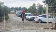 Atıyla İşe Gidip Madalya Kazanıyor