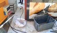 Sandığı açan gözlerine inanamadı
