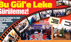 Bu Gül'e Leke Sürülemez!