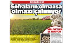 Sofraların olmazsa olmazı çalınıyor