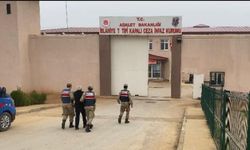 18 yıl kesinleşmiş cezası bulunan firariyi jandarma yakaladı