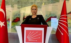 Özlem Beril Leylek CHP’den aday adayı oldu