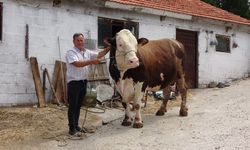 Diğerleri yanında küçük kaldı! 210 bin TL'ye satıldı...