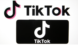  TikTok uygulamasına erişim engeli