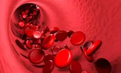 Kanda Enfeksiyon Nedir? Kan Zehirlenmesi Belirtileri Nelerdir, Tedavisi Nasıl Yapılır?