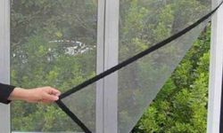 Haşereler evinize giremeyecek… Bu yöntem böcekleri kapıdan bacadan kovuyor!
