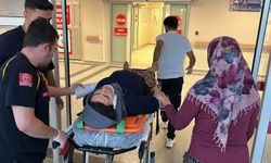 İncir ağacından düşen kadın yaralandı