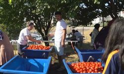 Salça Kaynatma Günleri başladı