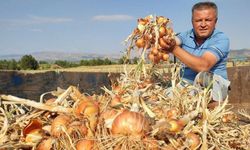 Soğan çiftçinin yeni umudu oldu