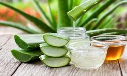 Aloe Vera sürüldükten sonra yıkanmalı mı? Aloe Vera bakımı ile ilgili her şey…