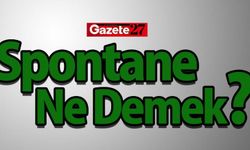 Spontane Ne Demek? Spontane Kelime Anlamı Nedir? İşte Detaylar…