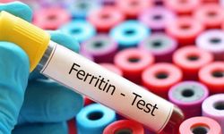 Ferittin nedir? Ferittiğin düşüklüğü nedir neden olur?