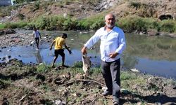 At kemikleri, ölü hayvanlar ve lağım suyu arasında kurbağa avı