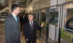 Dijital sanat ile geleneksel sanat tek tabloda birleşti