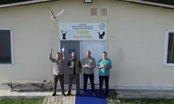 Tdavisi Tamamlanan 4 Baykuş Doğaya Salındı