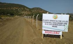 6 Şubat Deprem Şehitleri Ormanı Oluşturuldu!