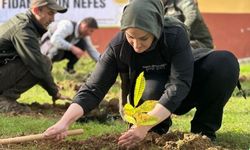 Kestane Fidanları Toprak ile Buluşacak!