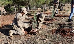  Jandarma 100. Yıla Özel 100 Fidan Dikti