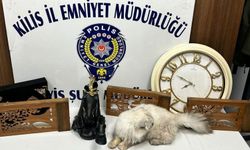 Kilis'te Hırsızlık Operasyonunda 15 Şüpheli Yakalandı