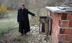 Köye İnen Ayı Kümeste Terör Estirdi!
