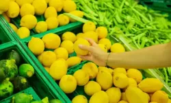 Saksıda Sulu Limon Yetiştirmenin Yolu Çok Kolaymış! Asla Çürümüyor, Öyle Bir Püf Noktası Var Ki…