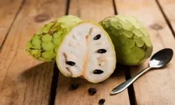 Vanilyalı Tadıyla Meşhur Faydaları Saymakla Bitmeyen Meyve Çerimoya! Çerimoyanın Faydaları Nelerdir?