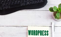 Wordpress Nedir? Wordpress Site Kurma Nasıl Yapılır?