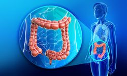 Bağırsak Sağlığı, Genel Sağlığın Anahtarı Oluyor