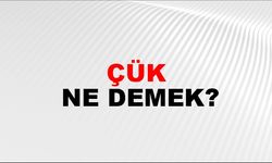 Çük Ne Demek? Çük Kelimesinin TDK Sözlük Anlamı Nedir?