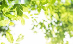 Mevsim Geçişlerinde Sağlık Uyarısı