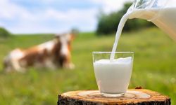 Çocuklarda sağlıklı büyüme için süt içilmesi şart!