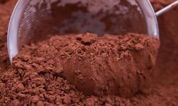 Kakao: Çikolatadan Fazlası, Sağlık ve Güzellik Kaynağı