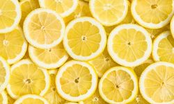 Saksıda Sulu Limon Yetiştirmenin Yolu Çok Kolaymış! Asla Çürümüyor, Öyle Bir Püf Noktası Var Ki…