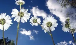 3-4 Mart Kahramanmaraş’ta hava bugün ve yarın nasıl olacak, HAVA DURUMU, Kahramanmaraş’ta yarın hava nasıl olacak, yağış var mı?