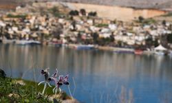 Gaziantep'te Fırat Nehri Kıyısında Büyüleyici Görüntüler…