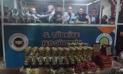 Türkiye'nin En Güzel Güvercinleri Gaziantep’te Görücüye Çıktı