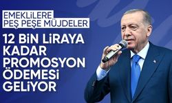 Erdoğan'dan Emekliye Promosyon Açıklaması