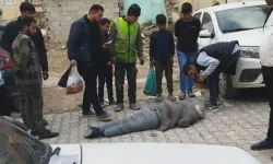 Gaziantep’ten Şanlıurfa’ya Giderek Sokak Ortasında Babasını Katletmişti! Sebebi Herkesi Şaşırttı…
